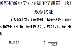 江苏省连云港市新海初级中学2024-2025学年九年级下学期数学第一次月考试题（含解析）