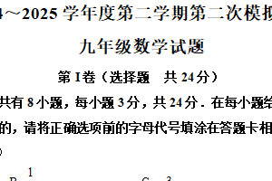 江苏省连云港市新海实验中学2024～2025学年下学期二模考试九年级数学试题（含解析）