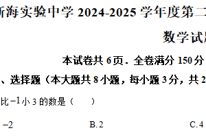 江苏省连云港市新海实验中学2024-2025学年下学期第一次阶段性测试九年级数学试题（含解析）