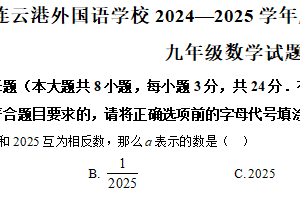 江苏省连云港外国语学校2024—2025学年下学期九年级数学期中检测题（含解析）