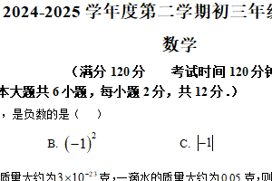 江苏省南京科利华初中2024-2025学年下学期九年级 期中数学试题（含解析）