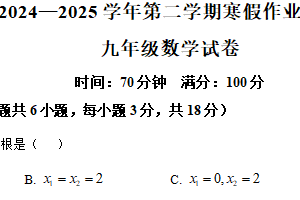 江苏省南京求真中学2024-2025学年九年级下学期寒假数学作业检查（期初开学考试）卷（含解析）