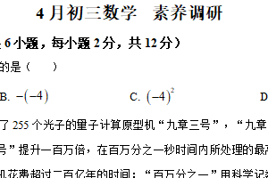 江苏省南京师范大学附属江宁分校和竹山中学2024-2025学年下学期九年级数学预一模考卷（含解析）