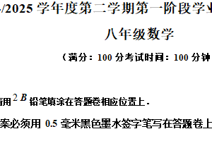 江苏省南京市第一中学2024-2025学年九年级下学期第一阶段学业质量监测数学试卷（含解析）