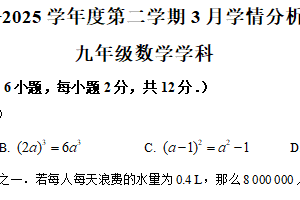 江苏省南京市江宁区禄口片 2024-2025学年九年级下学期3月月考数学试题（含解析）