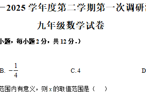 江苏省南京市江宁区南京东山外国语学校2024-2025学年九年级下学期3月月考数学试题（含解析）