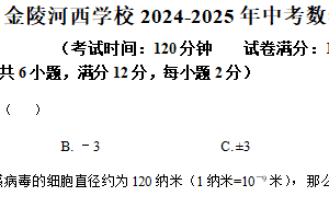 江苏省南京市金陵中学河西分校2025年中考四模数学试卷（含解析）