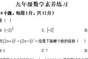江苏省南京市联合体2024-2025学年九年级下学期零模考试-数学试卷（含解析）
