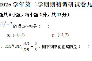 江苏省南京市南京联合体2024-2025学年九年级下学期期初调研数学试卷（含解析）