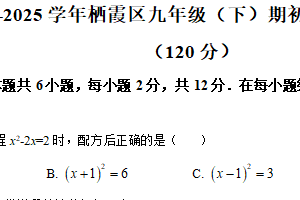 江苏省南京市栖霞区2024-2025学年九年级下学期期初数学预测试卷（含解析）