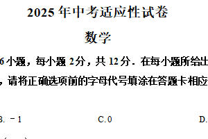 江苏省南京市师范大学附属中学仙林学校2025年中考适应性试卷 数学 (三模)（含解析）