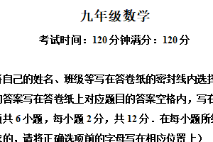 江苏省南京市树人学校2024-2025学年九年级下学期数学3月月考试卷（含解析）