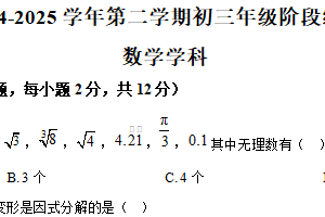江苏省南京市外国语学校2024-2025学年下学期九年级阶段练习数学试题（含解析）