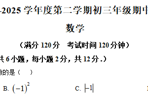 江苏省南京市玄武区科利华中学2024-2025学年下学期九年级期中考试数学试卷（含解析）