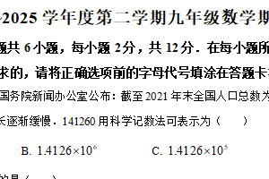 江苏省南京市玄武区南京玄武外国语学校2024-2025学年九年级下学期数学期中卷（零模卷）（含解析）