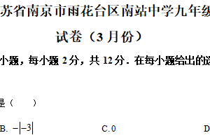 江苏省南京市雨花台区南站中学2024-2025学年九年级下学期月考数学试卷（3月份）（含解析）