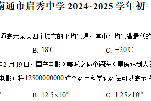 江苏省南通市崇川启秀中学2024-2025学年九年级下学期3月月考数学（含解析）
