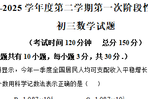 江苏省南通市海安市十三校2024-2025学年九年级下学期第一次月考数学试题（含解析）