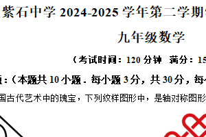 江苏省南通市海安市紫石中学2024-2025学年九年级下学期3月月考数学试题（含解析）