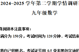江苏省南通市海门区2024-2025学年九年级下学期4月期中数学试题（含解析）