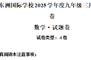 江苏省南通市海门区东洲国际学校2024-2025学年九年级下学期3月月考数学试题（含解析）