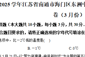 江苏省南通市海门区东洲中学2024—-2025学年下学期3月月考九年级数学试卷（含解析）