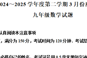 江苏省南通市启东市2024-2025学年九年级下学期3月月考数学试题（含解析）