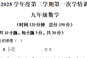 江苏省南通市如东县2024—2025学年下学期九年级数学第一次阶段性练习（含解析）