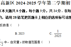 江苏省苏州高新区2024-2025学年下学期九年级数学3月月考卷（含解析）