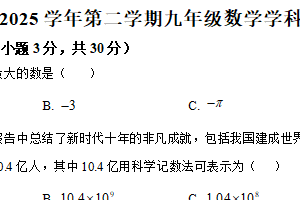 江苏省苏州工业园区唯亭学校2024-2025学年下学期九年级数学3月月考试卷（含解析）
