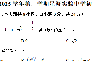江苏省苏州工业园区星海实验初级中学2024-2025学年下学期九年级期初数学练习试卷（含解析）