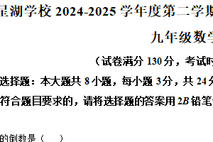 江苏省苏州工业园区星湖学校2025年中考二模监测数学卷（含解析）