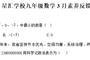 江苏省苏州工业园区星汇学校2024-2025学年九年级下学期3月素养反馈数学卷（含解析）
