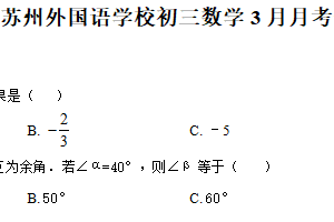 江苏省苏州市虎丘区苏州外国语学校2024-2025学年九年级下学期3月月考数学试题（含解析）