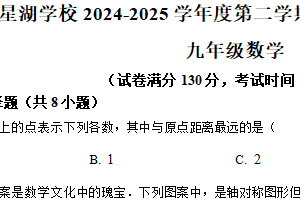 江苏省苏州市苏州工业园区星湖学校2024-2025学年九年级下学期3月随堂练习数学卷（含解析）