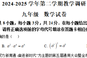 江苏省苏州市苏州工业园区星湾学校2024—2025学年下学期3月月考九年级数学试题（含解析）