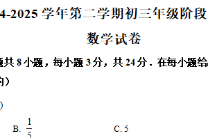 江苏省苏州市振华中学2024-2025学年下学期九年级数学阶段性测试卷（含解析）