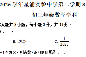 江苏省苏州园区星浦实验中学2024-2025学年下学期九年级数学3月月考卷（含解析）