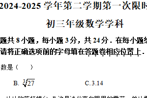 江苏省苏州园区星洋学校2024-2025学年第二学期九年级数学3月月考卷（含解析）