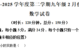 江苏省宿迁市南京师范大学附属中学宿迁分校2024-2025学年九年级下学期2月月考数学试卷（含解析）