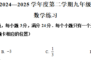 江苏省宿迁市南师大附属中学宿迁分校2024—2025学年下学期九年级数学练习试题（含解析）