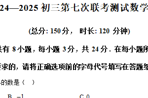江苏省宿迁市沭阳广宇学校2024-2025学年九年级下学期数学第七次联考测试卷（含解析）