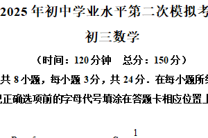 江苏省宿迁市沭阳如东实验学校2024-2025学年九年级下学期第二次模拟考试数学试卷（含解析）