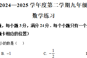 江苏省宿迁市沭阳县怀文中学2024-2025学年九年级下学期3月月考数学试题（含解析）
