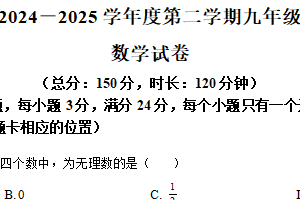 江苏省宿迁市沭阳县怀文中学2024-2025学年九年级下学期数学第一次月考考试试卷（含解析）