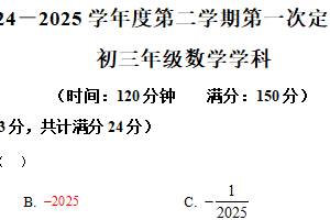 江苏省宿迁市沭阳县南湖初级中学2024-2025学年九年级下学期3月月考数学试题（含解析）