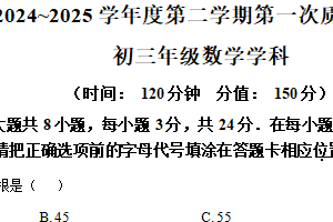江苏省宿迁市沭阳县沭阳如东实验学校2024-2025学年九年级下学期3月月考数学试卷（含解析）