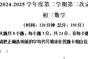 江苏省宿迁市沭阳县外国语实验学校2024-2025学年九年级下学期第二次月考数学试卷（含解析）