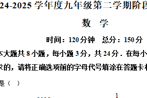 江苏省宿迁市沭阳县乡镇联考2024-2025学年九年级下学期3月月考数学试题（含解析）