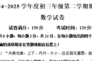 江苏省宿迁市钟吾初级中学2024-2025学年九年级下学期期中测试数学试卷（含解析）